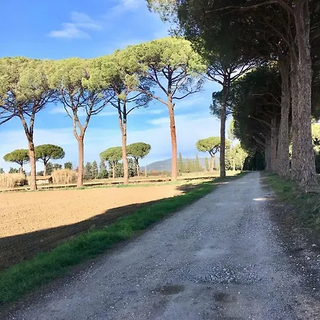 Casina Gialla Holiday home