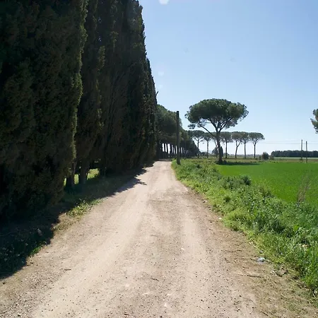 Casina Gialla Holiday home