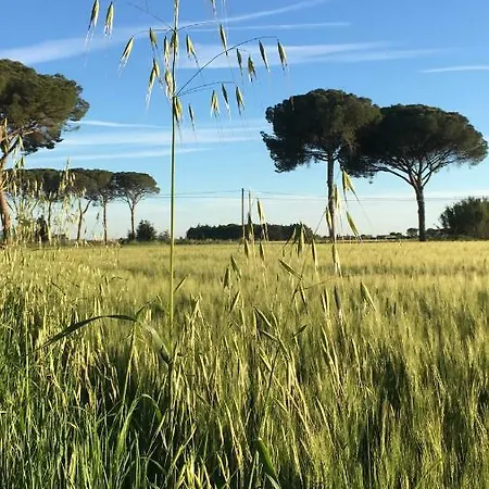 Casina Gialla