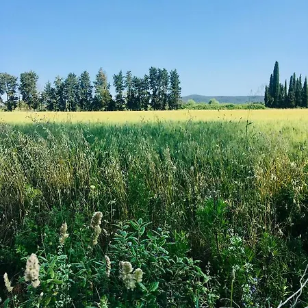 Casina Gialla Holiday home Grosseto